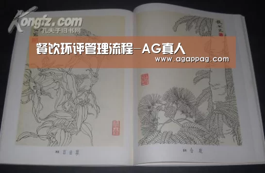 餐饮环评管理流程-AG真人(图2) AG下载