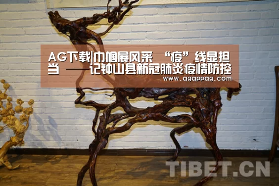 AG下载|巾帼展风采 “疫”线显担当 ——记钟山县新冠肺炎疫情防控指挥部督查组组长、纪委副书记、监委副主任陈晓玲(图3) AG真人