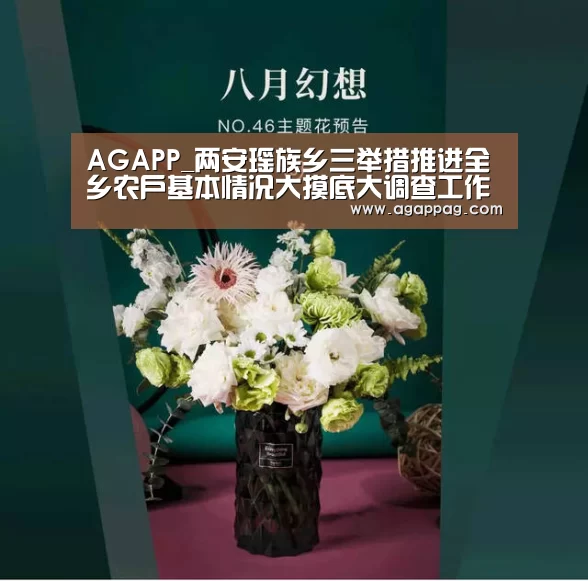 AGAPP_两安瑶族乡三举措推进全乡农户基本情况大摸底大调查工作(图2) AG真人