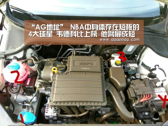 “AG地址”
NBA中身体存在短板的4大球星 韦德科比上榜 他臂展成短板(图3) AG地址